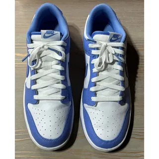 Photo of Nike Dunk Low Retro BTTYS Polar Blue/White Sneakers (Mens Size 10.5)   