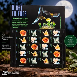Photo of 2002 USPS Night Friends American Bats 37¢ Stamps Full Sheet of 20 Mint Unused