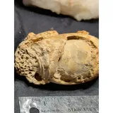 Listing Photo Thumb #6