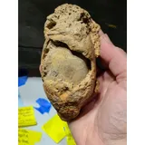 Listing Photo Thumb #7