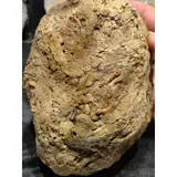 Listing Photo Thumb #3