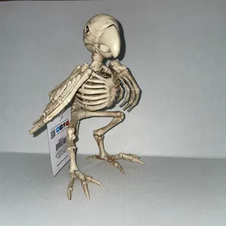 Photo of MARGARITAVILLE DEAD PARROT HEAD BIRD SKELETON BONES PROP HALLOWEEN DECORATION