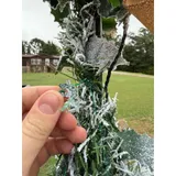 Listing Photo Thumb #4