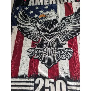 Photo of Americas 250th Anniversary Established 1776 Eagle Throw Blanket. New Patriotic
