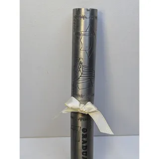 Photo of Graduation Diploma Certificate Scroll Holder Silver Tone Metal Tube 9" Ribbon