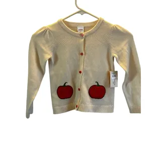 Photo of Gymboree Pumpkin cardigan 4T fall holiday thanksgiving 