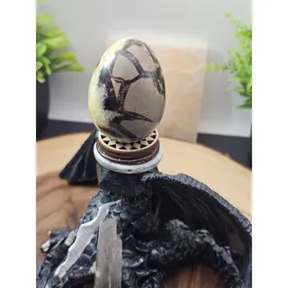 Photo of Septarian dragon geode