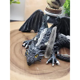 Photo of Septarian dragon geode