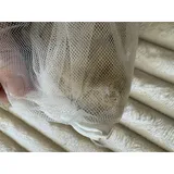 Listing Photo Thumb #8