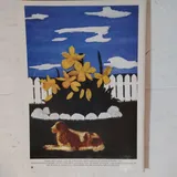 Listing Photo Thumb #5